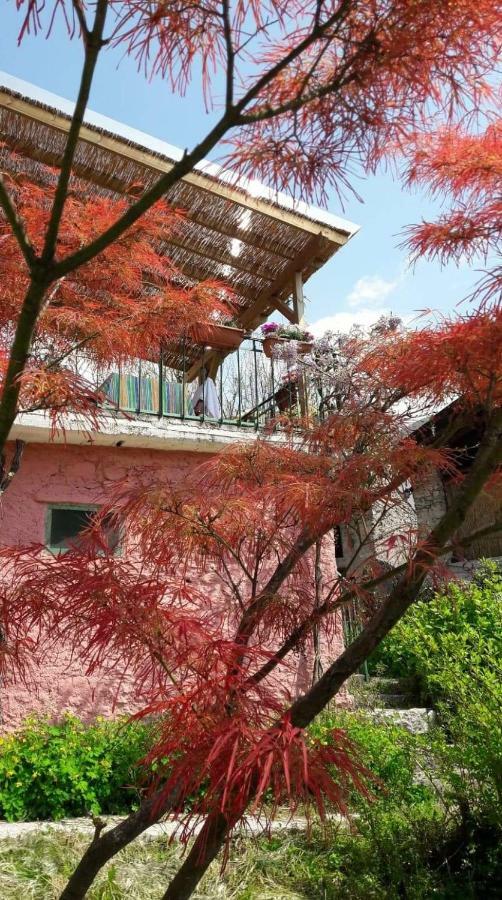 La Casa Rosa Di Segusino With Spa Jacuzzi In Garden Sequsino Buitenkant foto